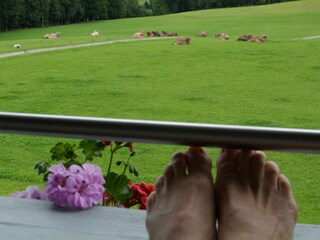 Appartamento per vacanze Andelsbuch Registrazione all'aperto 5