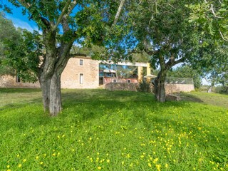 Villa Son Servera Grabación al aire libre 13