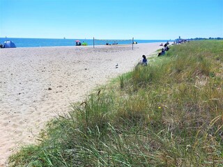 Ostseestrand Weidefeld
