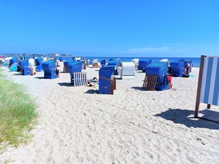Ostseestrand Weidefeld