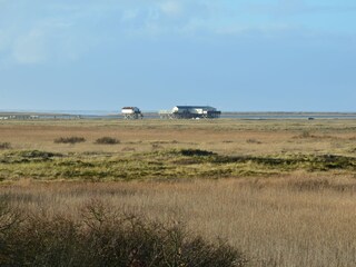 Pfahlbauten Dorf St. Peter-Ording