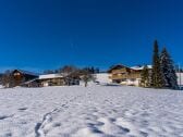 Winter auf dem Berghof