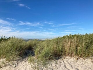 Vakantiehuis Kamperland Buitenaudio-opname 13