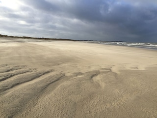 Vakantiehuis Kamperland Omgeving 40