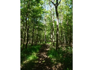 Casa per le vacanze Kamperland Ambiente 38