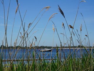 Casa per le vacanze Kamperland Ambiente 37