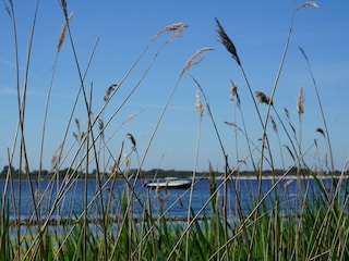 Vakantiehuis Kamperland Omgeving 37