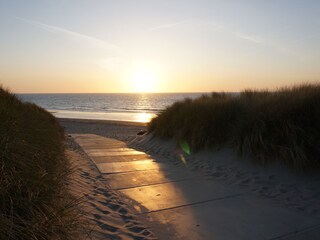 Vakantiehuis Kamperland Omgeving 33