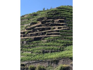 Casa per le vacanze Oberfell Ambiente 31