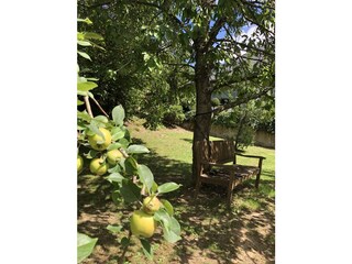 Casa per le vacanze Oberfell Registrazione all'aperto 8