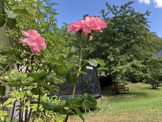 Casa per le vacanze Oberfell Registrazione all'aperto 9