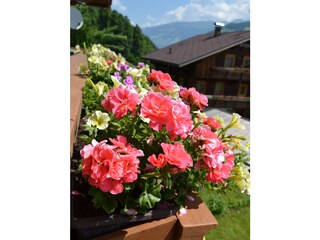 Appartamento per vacanze Hippach Registrazione all'aperto 3