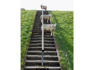 Ferienwohnung Wenningstedt Umgebung 15