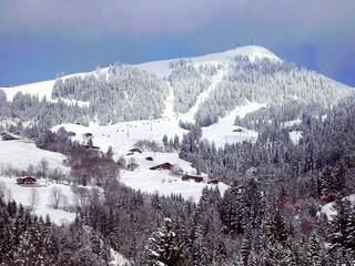 Vakantieappartement Hopfgarten im Brixental Omgeving 14