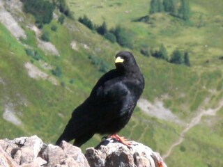 Ferienwohnung Hopfgarten im Brixental Umgebung 21
