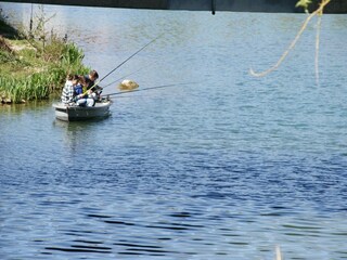 Casa de vacaciones Stenay Entorno 33