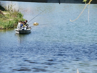 Casa de vacaciones Stenay Entorno 35