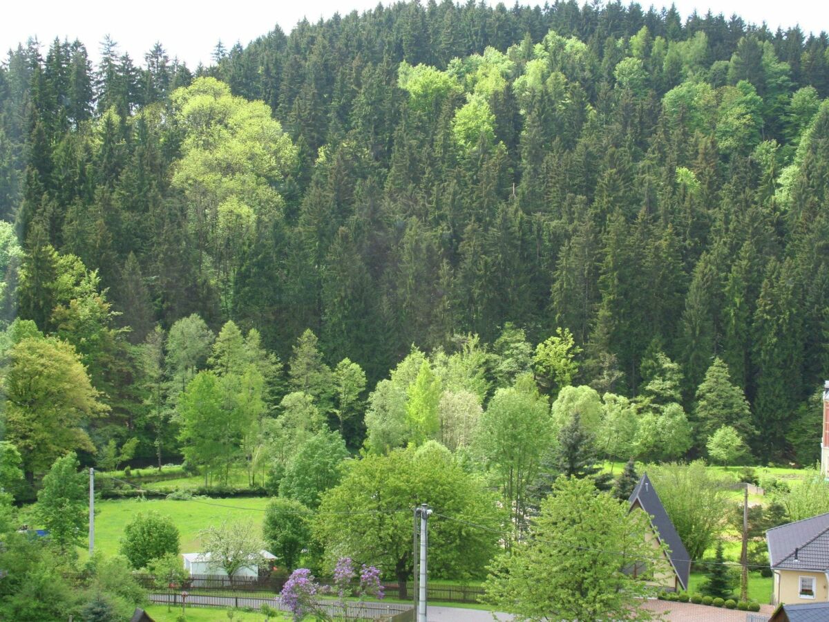 Villa Borstendorf Außenaufnahme 1