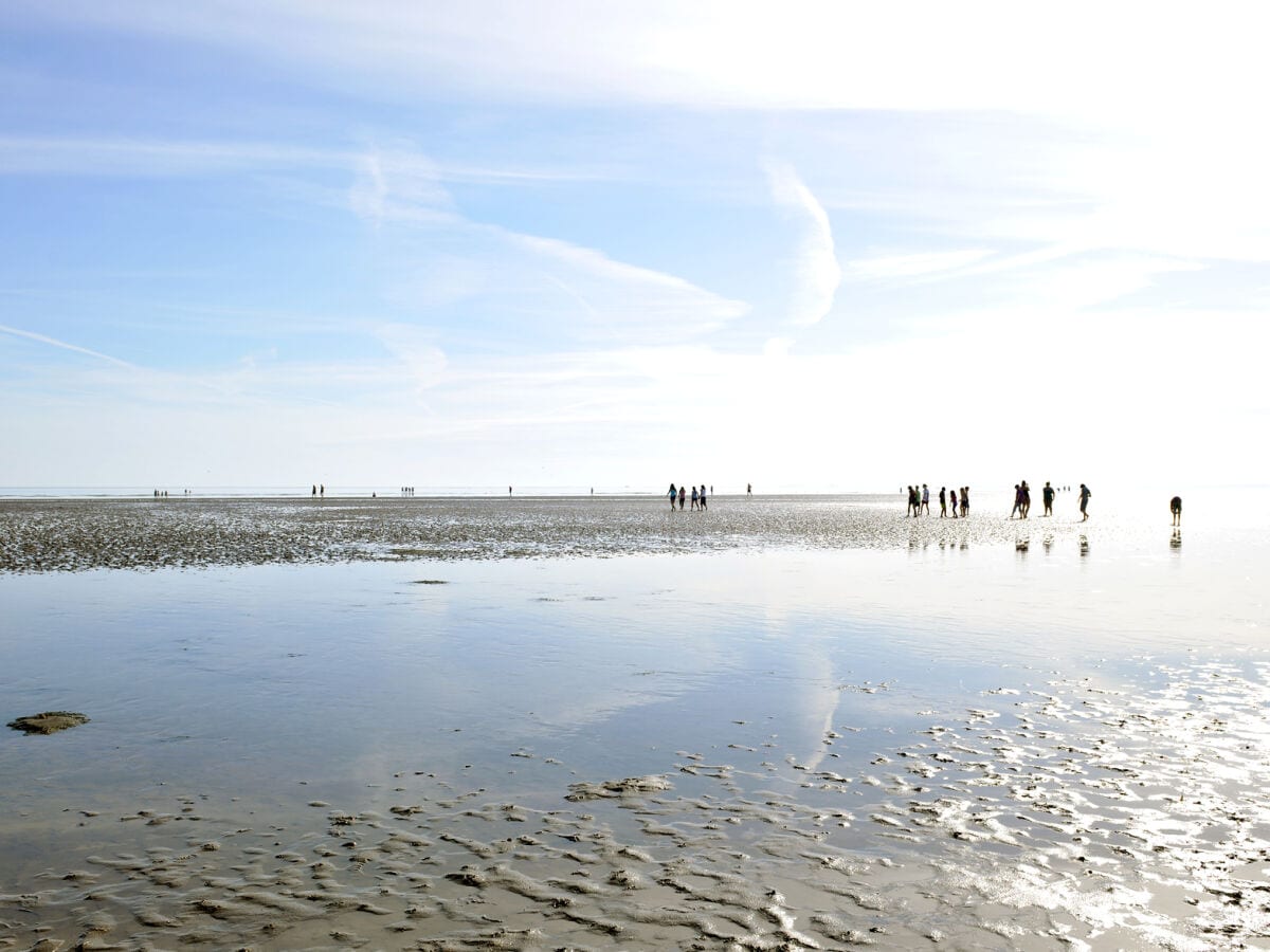 Ferienwohnung Wyk auf Föhr Umgebung 13