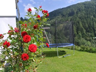 Ferienwohnung Aigen im Ennstal Außenaufnahme 6