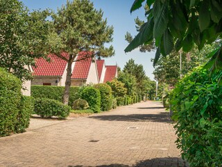 Villa De Koog Omgeving 24