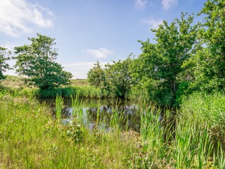Villa De Koog Omgeving 26