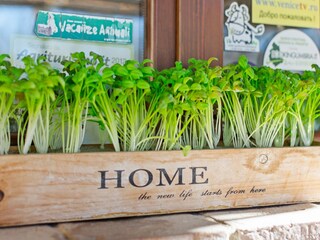 Maison de vacances Allerona  34