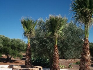 Villa San Pietro in Bevagna Omgeving 30