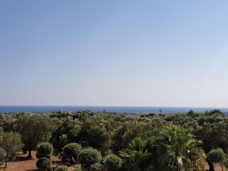 Villa San Pietro in Bevagna Omgeving 29