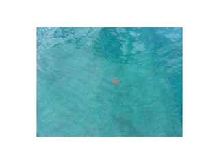 Villa San Pietro in Bevagna Omgeving 36