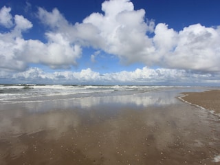 Vakantiehuis De Cocksdorp Omgeving 20