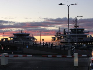 Holiday house De Cocksdorp Environment 22