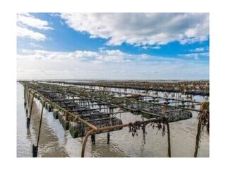 Casa per le vacanze Bretteville-sur-Ay Ambiente 23