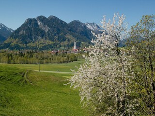 Appartamento per vacanze Pfronten Ambiente 31