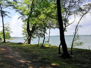 Idyllischer Wanderweg am Schleiufer, herrliche Aussicht