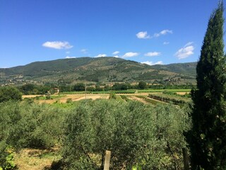 Ferienhaus Castiglion Fiorentino Außenaufnahme 4