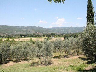 Vakantiehuis Castiglion Fiorentino Buitenaudio-opname 6