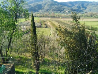 Vakantiehuis Castiglion Fiorentino Buitenaudio-opname 12