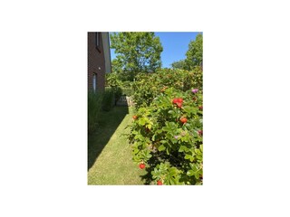 Ferienhaus Hooksiel  10