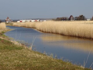 Vakantiehuis Julianadorp Omgeving 14