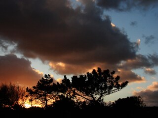 Ferienhaus Julianadorp Umgebung 16
