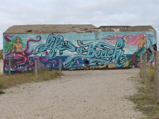 Ferienhaus Julianadorp Umgebung 17