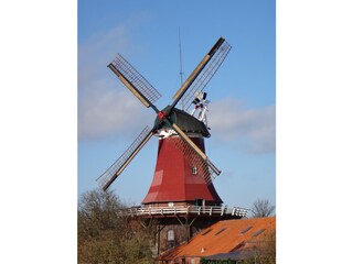 rote Mühle