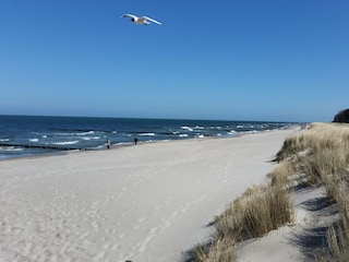 Am Strand