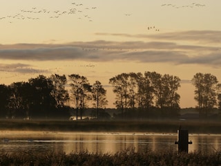 Sonnenaufgang am Bodden