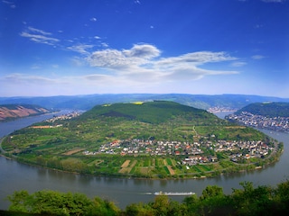 Rheinschleife bei Kamp-Bornhofen