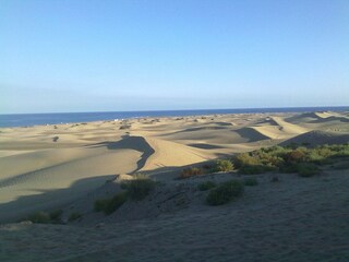 Bungalow Maspalomas Environnement 37