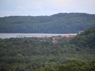 Baumwipfelpfad - Blick in Richtung Binz