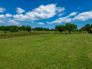Blick auf den schönen Garten.