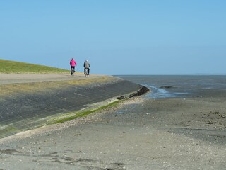 Wadden Sea